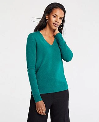Shop Ann Taylor Cashmere V-neck Sweater In Green Alpine
