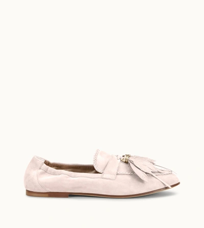 Shop Tod's Loafers In Suede In Pink