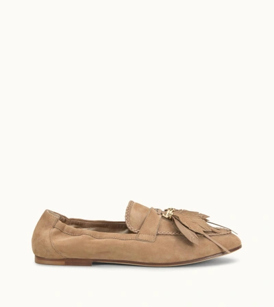 Shop Tod's Loafers In Suede In Brown,beige