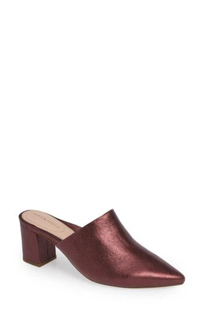 Shop Taryn Rose Madisson Pointy Toe Mule In Fig Leather