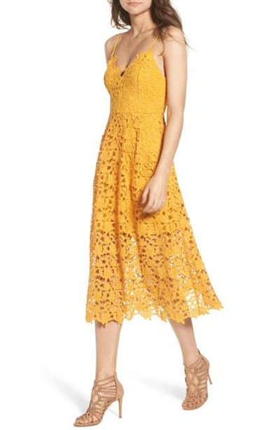 Shop Astr Lace Midi Dress In Marigold