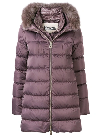 Shop Herno Fox Fur Trim Puffer Coat In Brown