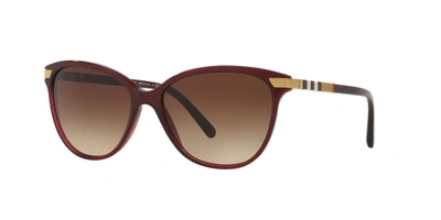 Shop Burberry Woman Sunglass Be4216 In Brown Gradient