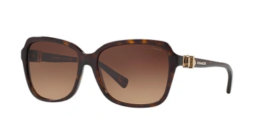 Shop Coach Woman Sunglasses Hc8179 L1598 In Brown Gradient