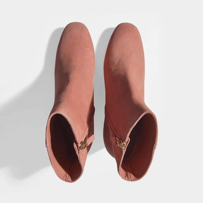 Shop Mansur Gavriel | Ankle Boots In Blush Suede Leather