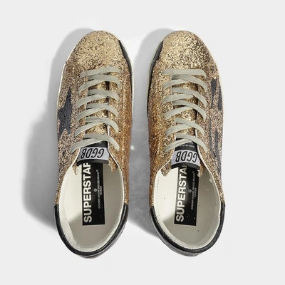 Shop Golden Goose Deluxe Brand | Glitter Superstar Sneakers In Gold Glitter Synthetic Material