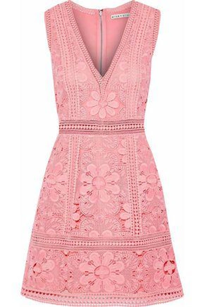 Shop Alice And Olivia Zula Guipure Lace Mini Dress In Pink