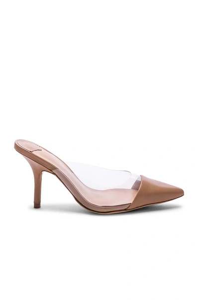 Shop Tony Bianco Evon Mule In Skin Capretto