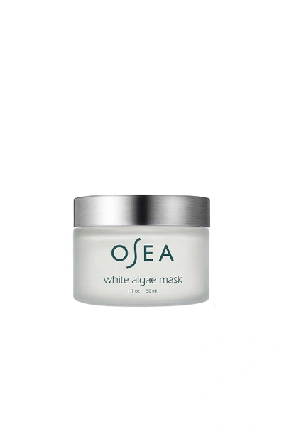 Shop Osea White Algae Mask In N,a