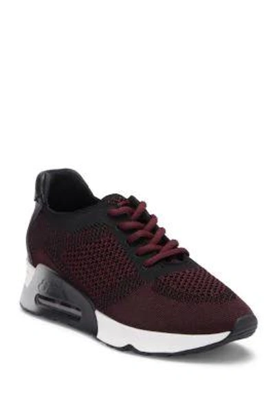 Shop Ash Lucky Lace-up Sneakers In Black Barolo