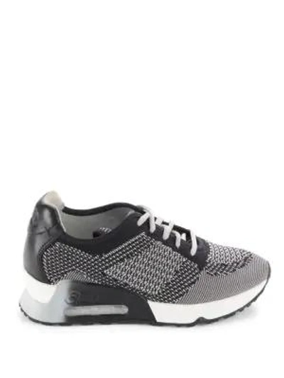 Shop Ash Lucky Lace-up Sneakers In Black Barolo