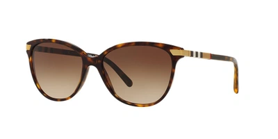 Shop Burberry Woman Sunglass Be4216 In Brown Gradient