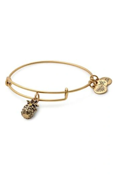 Shop Alex And Ani Pineapple Adjustable Wire Bangle In Russian Gold