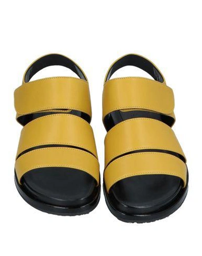 Shop Marni Sandals In Yellow