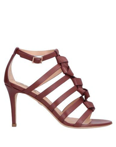 Shop Roberto Cavalli Sandals In Cocoa