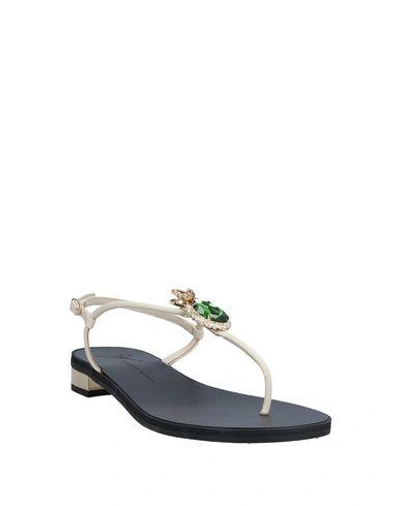 Shop Giuseppe Zanotti Flip Flops In Beige