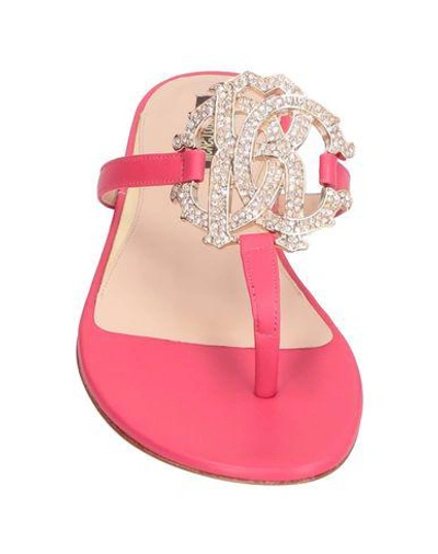 Shop Roberto Cavalli Flip Flops In Fuchsia