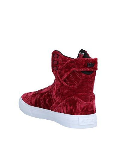 Shop Supra Sneakers In Maroon