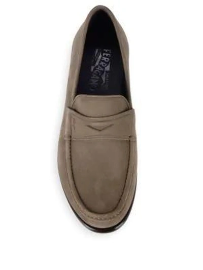 Shop Ferragamo Connor Suede Penny Loafers In Sepia