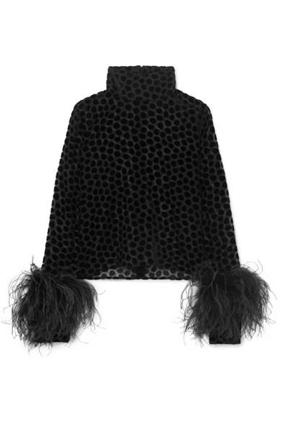 Shop 16arlington Feather-trimmed Flocked Tulle Top In Black