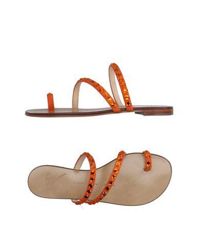 Shop Giuseppe Zanotti Flip Flops In Orange