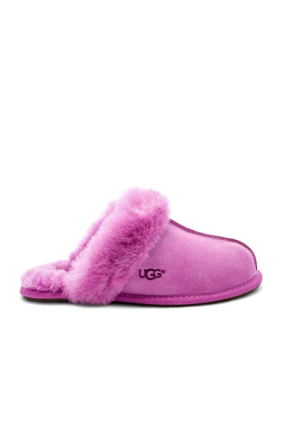 Shop Ugg Scuffette Ii Slipper In Pink