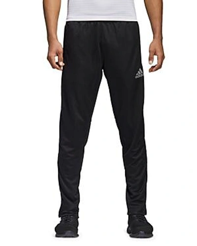 Shop Adidas Originals Tiro Active Training Pants In Black / Silver