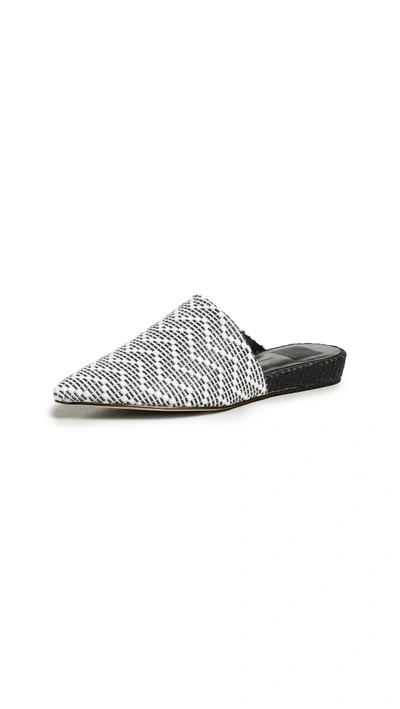 Shop Dolce Vita Ekko Point Toe Mules In Black/white