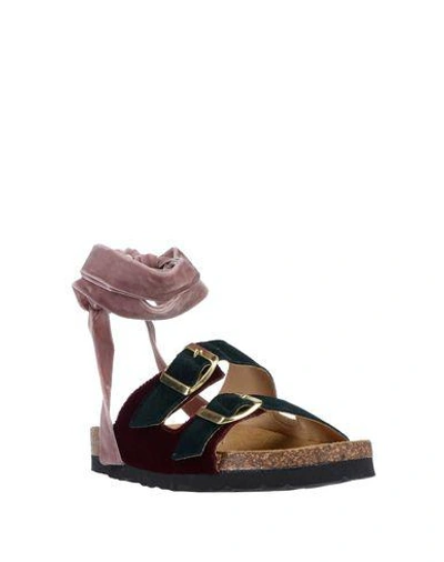 Shop Gia Couture Sandals In Maroon