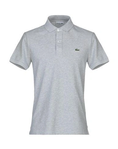 Shop Lacoste Polo Shirt In Light Grey