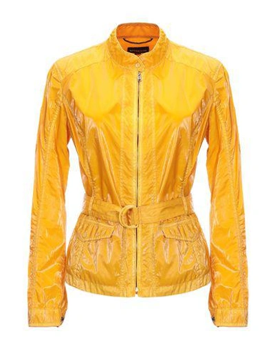 Shop Museum Jackets In Ocher