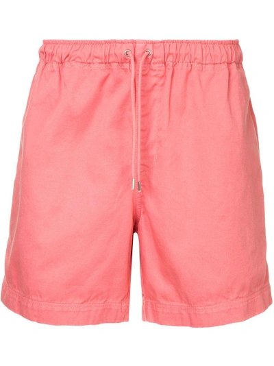 Shop Jac + Jack Jac+ Jack Roberts Shorts - Pink