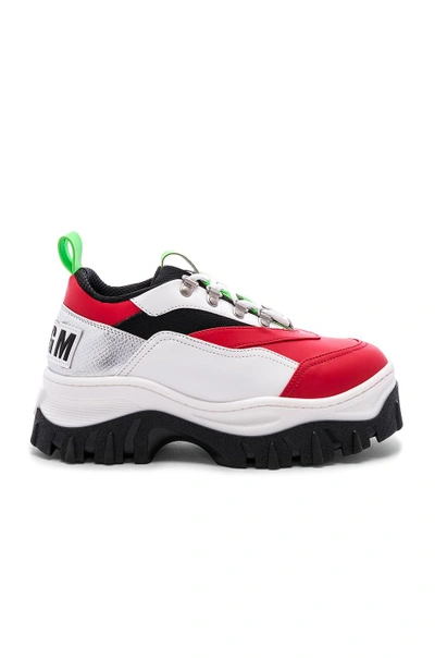 Shop Msgm Tractor Block Lace Up Sneaker In White