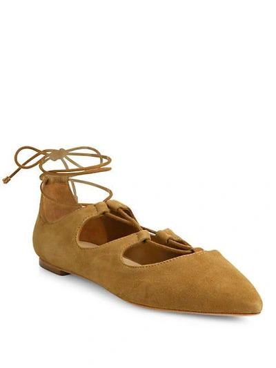 Shop Loeffler Randall Ambra Point Toe Suede Lace-up Flats In Sienna