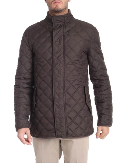 Shop Brooks Brothers Padded Jacket In Brown