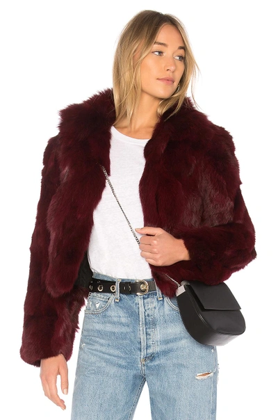 Shop Adrienne Landau Rabbit Jacket With Fox Collar In Cranberry