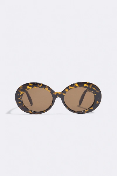 Shop Na-kd Oval Sunglasses Brown In Turtle