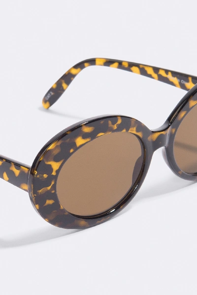 Shop Na-kd Oval Sunglasses Brown In Turtle