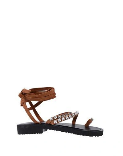 Shop Giuseppe Zanotti Toe Strap Sandals In Brown