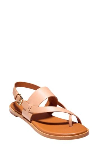 Shop Cole Haan Anica Sandal In Sahara Leather