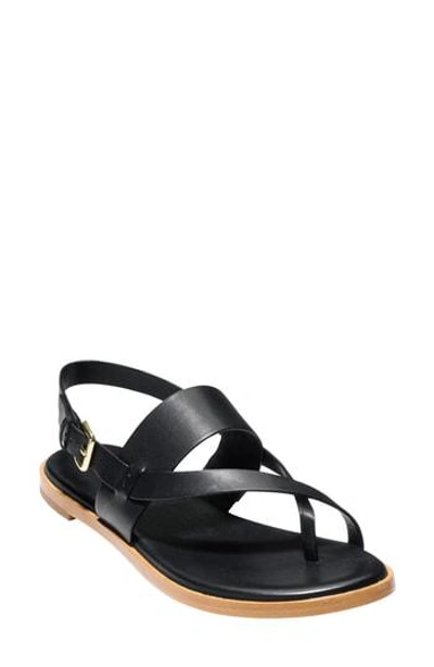 Shop Cole Haan Anica Sandal In Black Leather