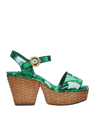 Shop Dolce & Gabbana Woman Sandals Green Size 8.5 Textile Fibers