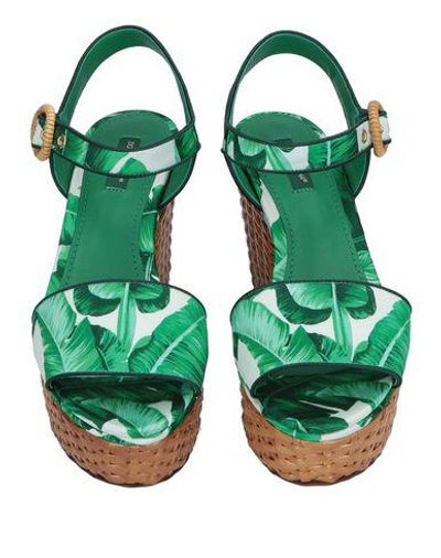 Shop Dolce & Gabbana Woman Sandals Green Size 8.5 Textile Fibers