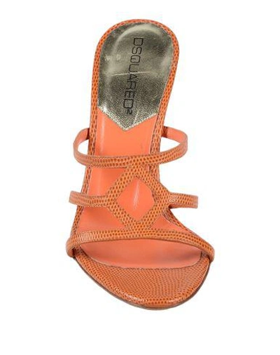 Shop Dsquared2 Sandals In Rust