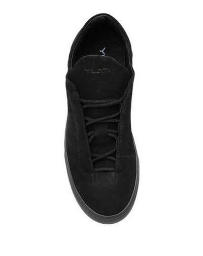 Shop Ylati Sneakers In Black