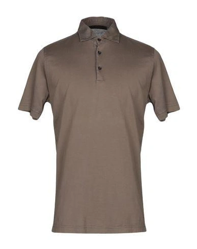 Shop Jeordie's Man Polo Shirt Brown Size Xl Supima