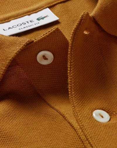 Shop Lacoste Man Polo Shirt Ocher Size 8 Cotton