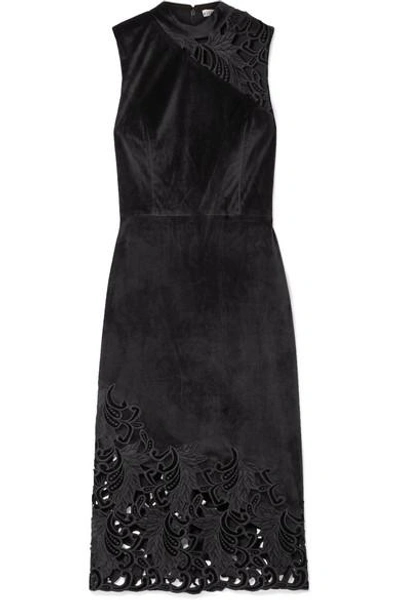 Shop Alice And Olivia Kiana Velvet And Lace Dress In Black