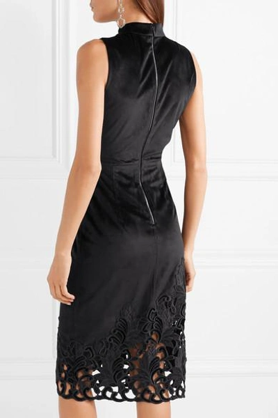 Shop Alice And Olivia Kiana Velvet And Lace Dress In Black