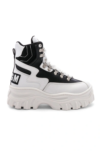 Shop Msgm High Top Tractor Block Sneaker In White & Black